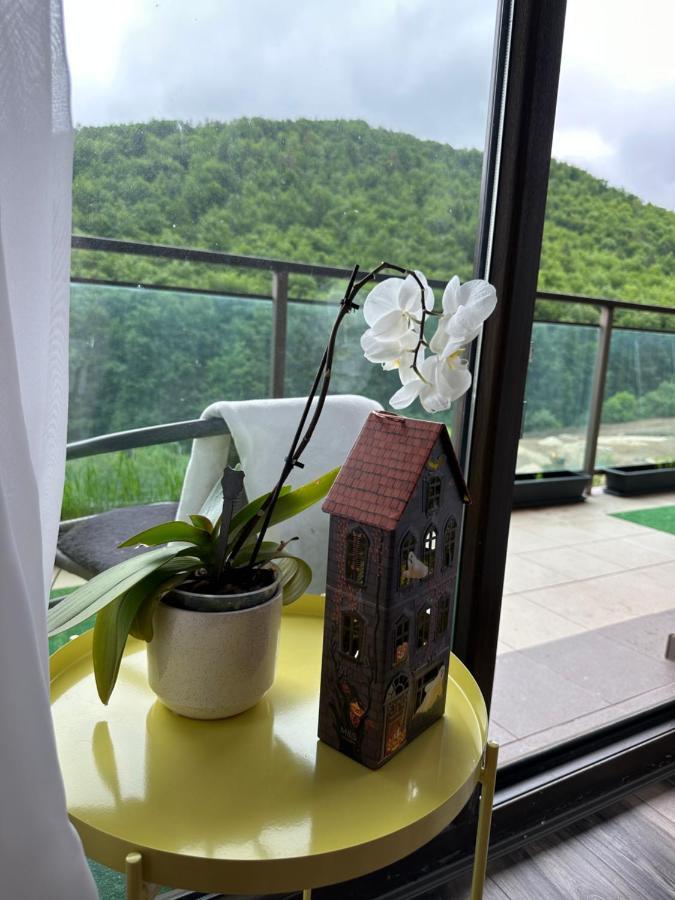 Silvelen Mountain View Apartment Brassó Kültér fotó