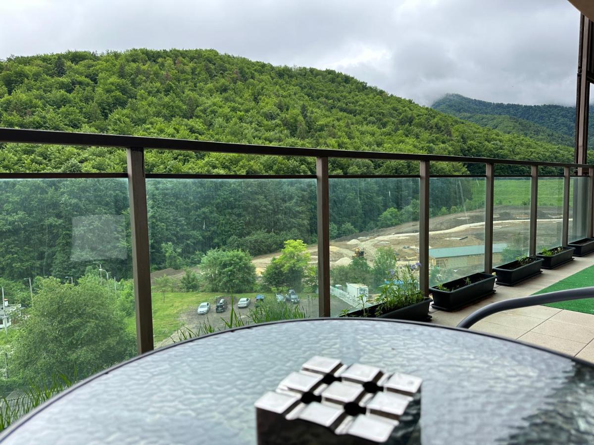 Silvelen Mountain View Apartment Brassó Kültér fotó